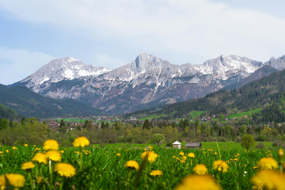 IL FASCINO DEL TRENTINO - TRENINO VERDE, DOMODOSSOLA E NOVARA