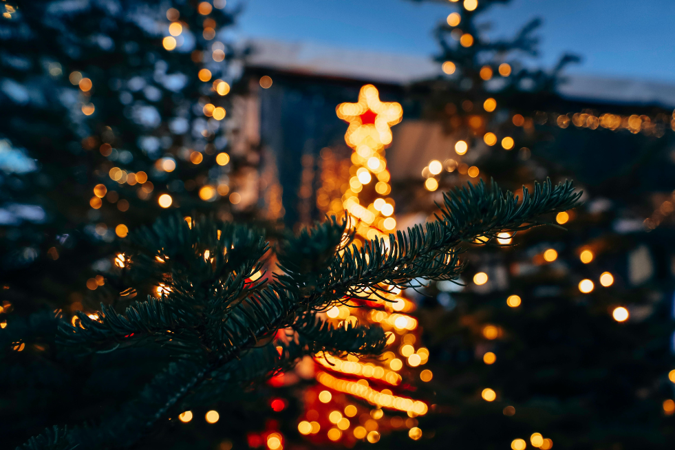 LUMINARIE DI GAETA E SERMONETA